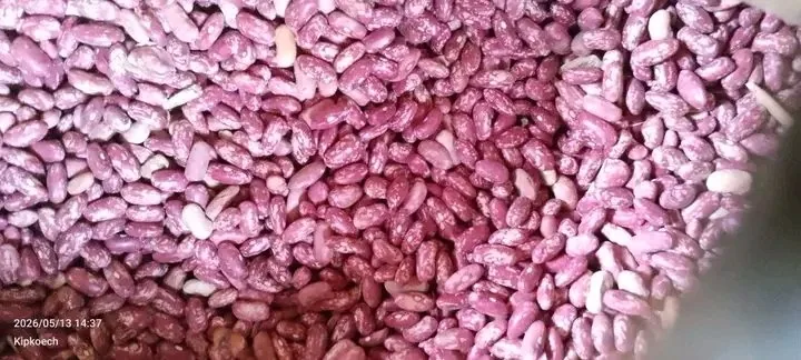 Rosecoco Beans