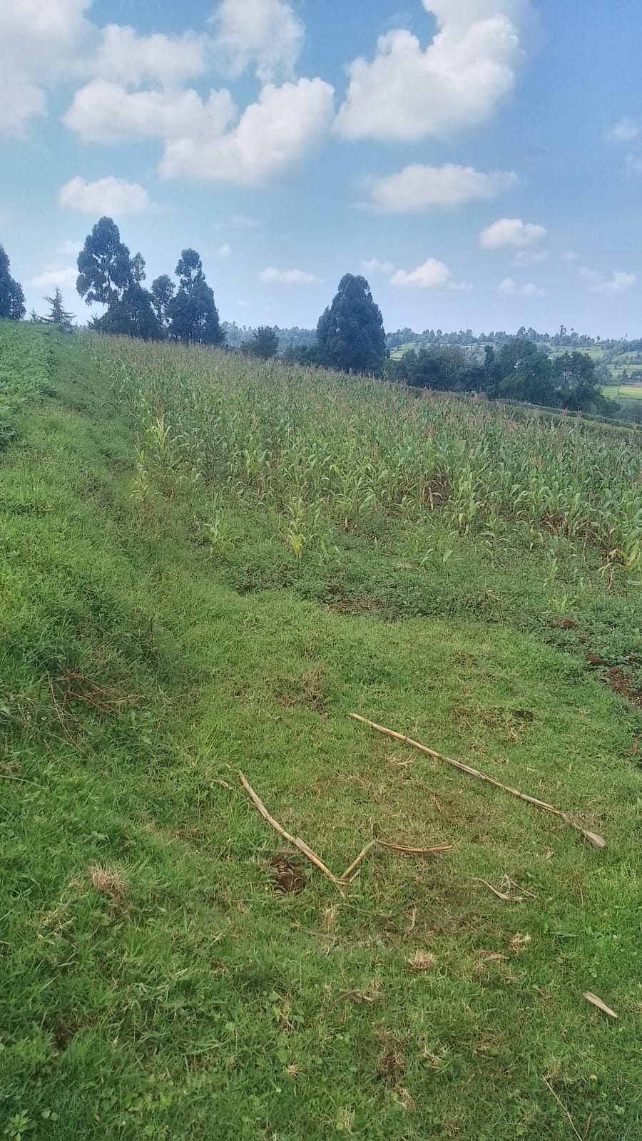 0.6 Acres Land For Sale